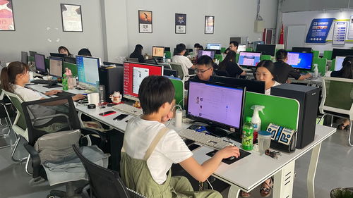 从零起步 拼多多店群模式解析与新店经营攻略